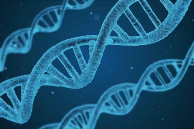 そもそもDNAとは一体何なのか？遺伝子とはどう違うのか？